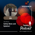 Safety Podcast with Sel
